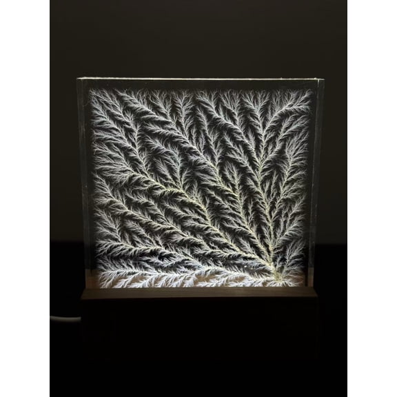 Frozen Lightning /Lichtenberg Figure Acrylic Square Desk Block 4" x 4" x 0.78"