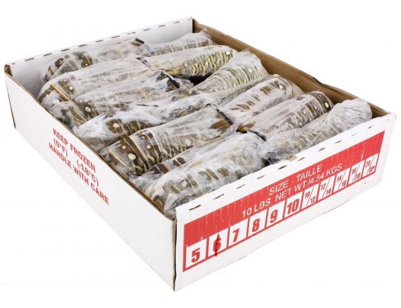 Frozen Seafood 6 Ounce Warm Water Lobster Tail, 10 Pound - 1 each.