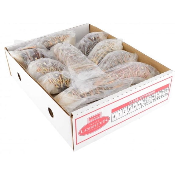 Frozen Seafood Warm Water Lobster Tail, 10 Pound -- 1 Each.