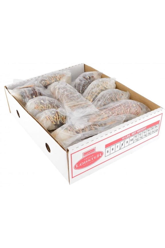 Warm Water Lobster Tail, 10 Pound -- 1 Each.