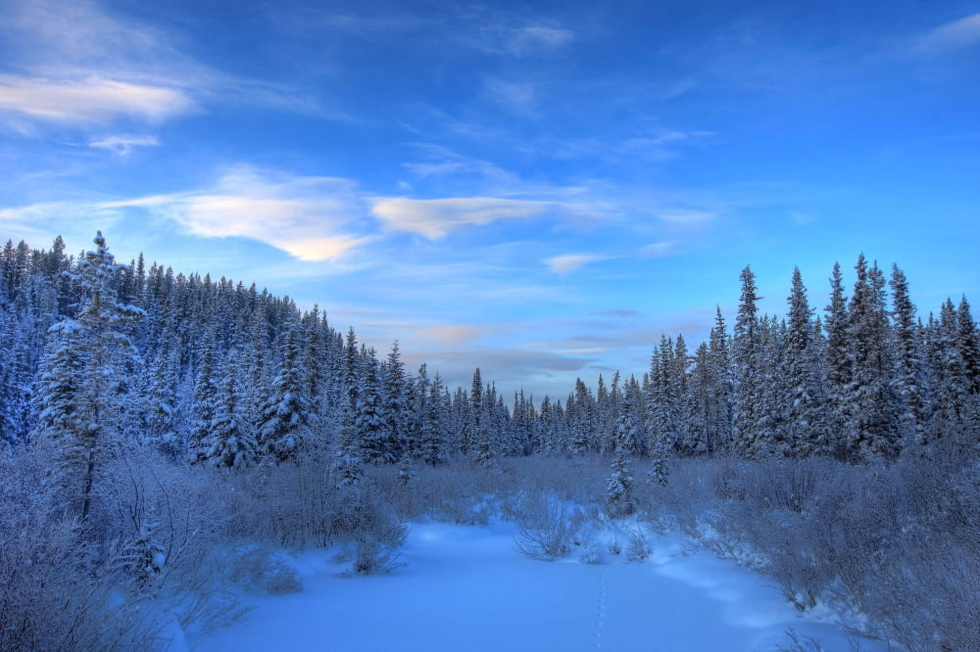Frozen Stream Along The South Canol Road Yukon Canvas Art - Robert Postma Design Pics (17 x 11)