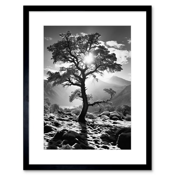 Frozen Tree Outline in Mountain Forest Landscape Covered in Snow Black and White Photograph Winter Sunshine Artwork Framed Wall Art Print 9X7 Inch