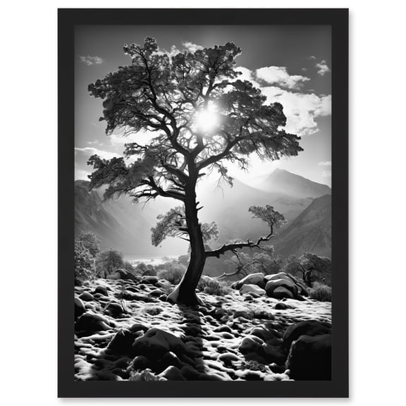 Frozen Tree Outline in Mountain Forest Landscape Covered in Snow Black and White Photograph Winter Sunshine Artwork Framed Wall Art Print A4
