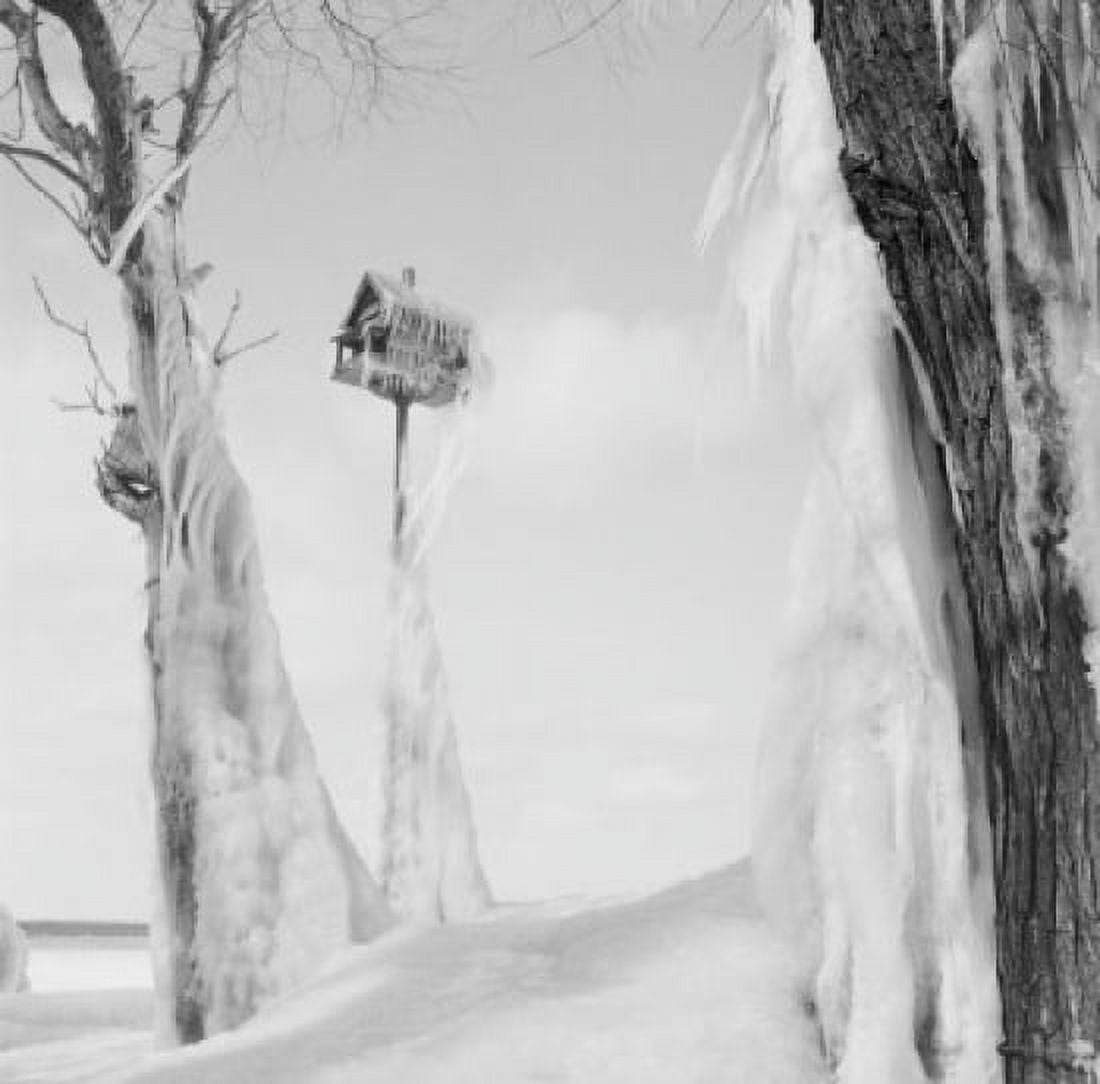 Frozen birdhouse Canvas Art -  (18 x 24)