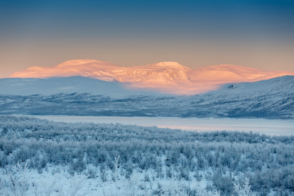 Frozen landscape cold temperatures Lapland Sweden Canvas Art - Panoramic Images (27 x 9)