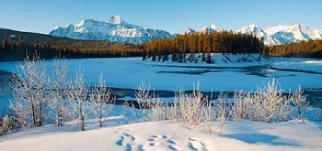 Frozen river with mountain range in the background Mt Fryatt Athabaska River Jasper National Park Alberta Canada Canvas Art - Panoramic Images (24 x 12)