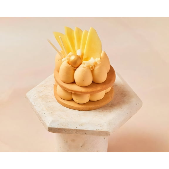 Frudeco - Passionfruit Mango Mini Cake