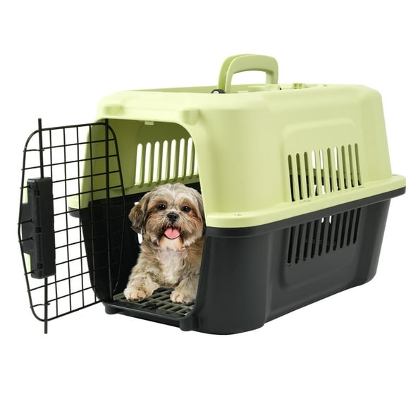 Fruggis Two-Door Dog Kennel with Top Opening, Plastic Dog Crate Porable for Pets up to 10 lbs, 19" - Green & Black