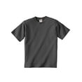 thumbnail image 1 of Fruit 100% Tee Youth CharGrey, 1 of 4