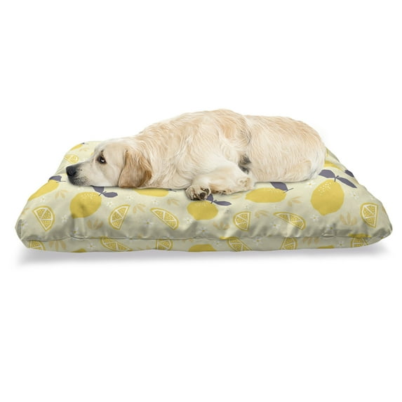 Fruit Art Pet Bed, Lemons and Blossoms Floral Pattern with Whole and Sliced Citrus Summer, Chew Resistant Pad for Dogs and Cats Cushion with Removable Cover, 24" x 39", Multicolor, by Ambesonne