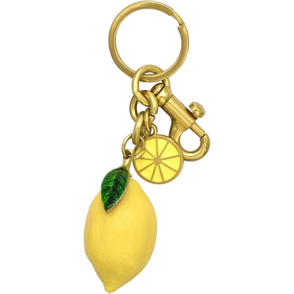 Fruit Bag Charm Key Chain Accessory Purse Charm Gifts for Women