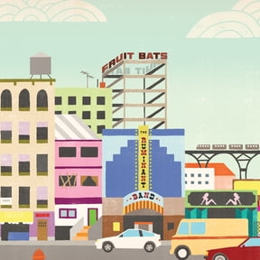 Fruit Bats - The Ruminant Band - Pink - Music & Performance - Vinyl