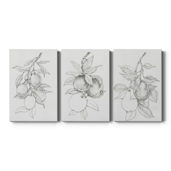 Fruit-Bearing Branch I Premium Gallery Wrapped Canvas - Ready to Hang - 12 x 18 Each