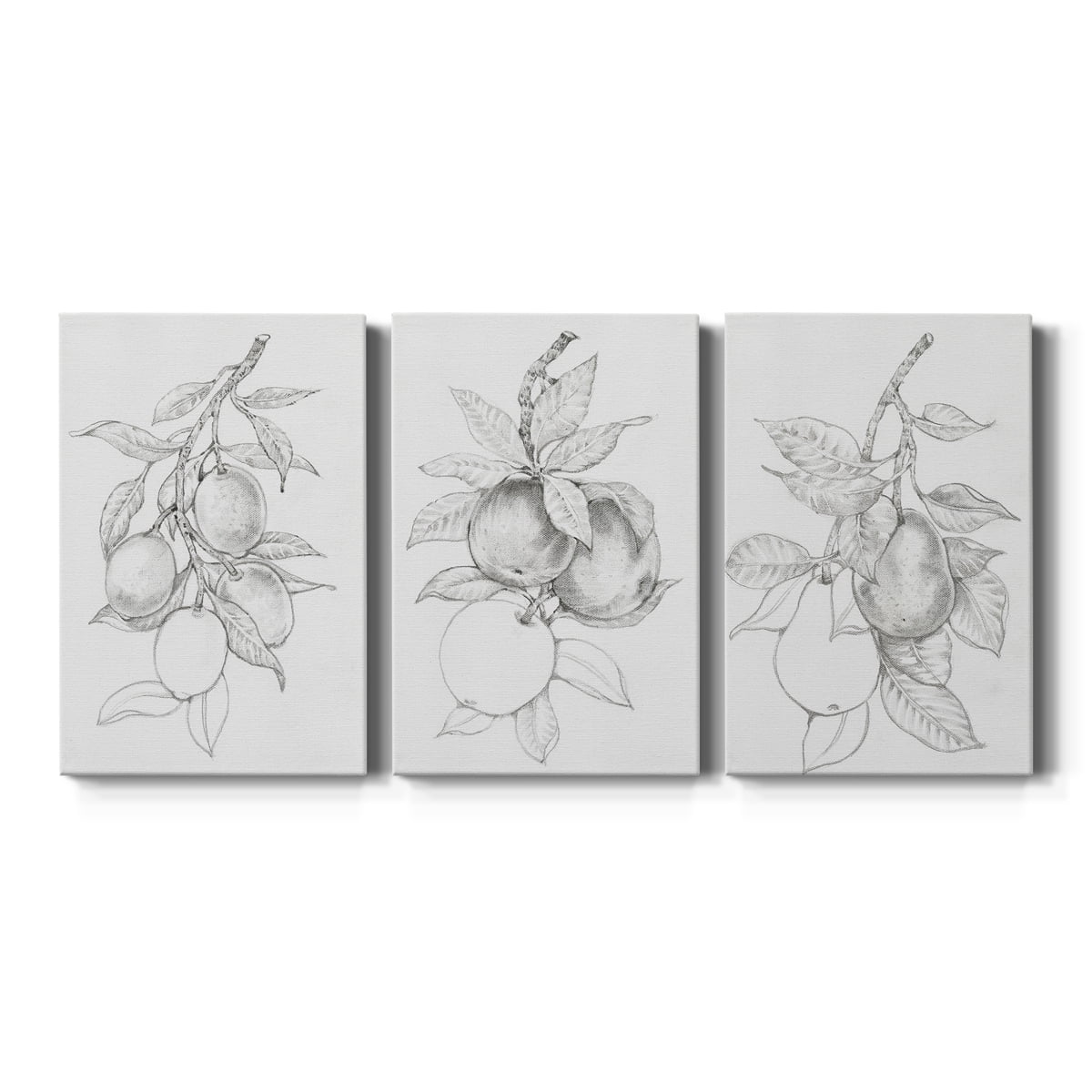 Fruit-Bearing Branch I Premium Gallery Wrapped Canvas - Ready to Hang - 32 x 48 Each