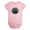 thumbnail image 1 of Fruit Blackberry Image Print Rompers For Babies, Newborn Baby Unisex Bodysuits, Infant Jumpsuits, Toddler 0-24 Months Kids One-Piece Oufits (Pink, 18-24 Months), 1 of 4
