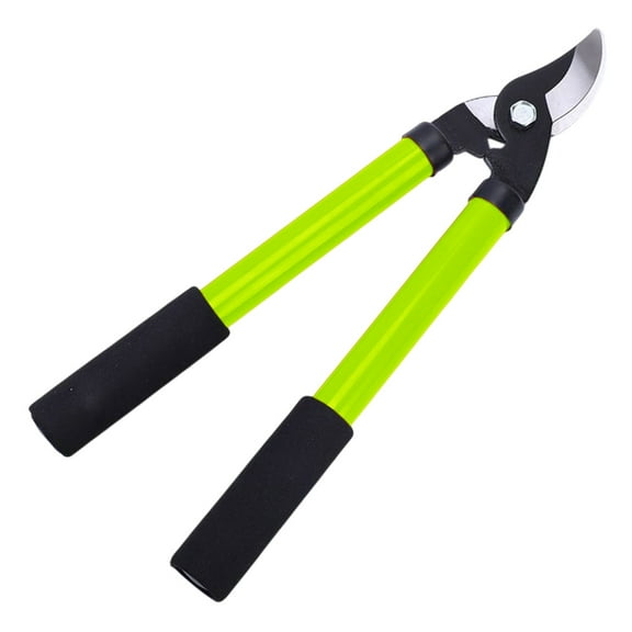 Fruit Branch Scissorsscissors For Cutting Tree Branchesrough Branch Scissorsgardening Toolsscissors - Green