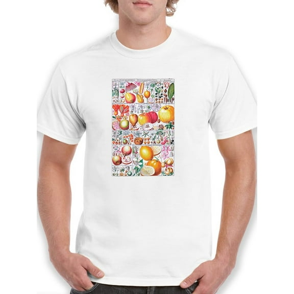 Fruit Chart. T-Shirt Men -Vision Studio Designs, Male Large