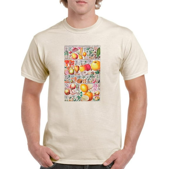 Fruit Chart. T-Shirt Men -Vision Studio Designs, Male Small