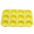 Fruit Cookie Shape Cut plus Vacuum Seal Containers Parts Jar Sealer
