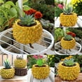 Fruit Durian Modeling Resin Flower Pots Balcony Garden Decoration Desk
