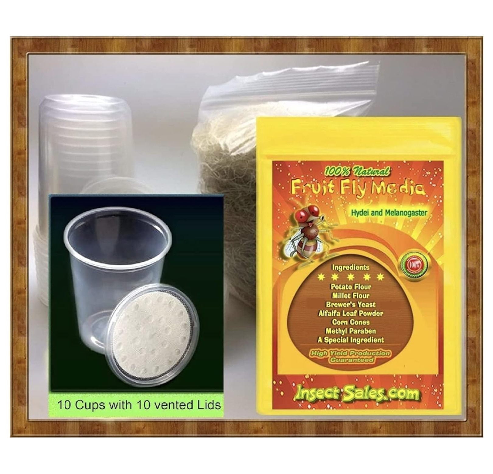 Fruit Fly Culture Kit (Hydei Or Melanogaster) Will Make 10 Awesome