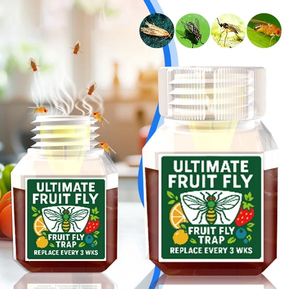 Fruit Fly Trap Fruit Fly And Gnat Traps Indoor Fly Attractant Kitchen Pest Control Solution 20ml Funnel Design Effective Fruit Flies Gnat Catcher Home Kitchen Use