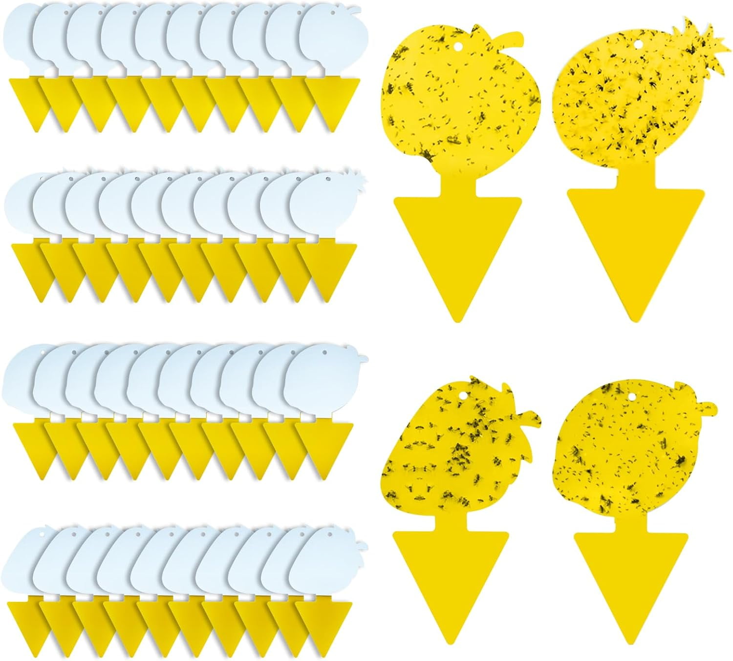 Fruit Fly Trap & Fungus Gnat Traps 40 Pack – Yellow Sticky Gnat Traps ...