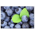 thumbnail image 1 of Fruit Food Ceramic Tile Mural Kitchen Backsplash Bathroom Shower, 400604-L64, 1 of 3