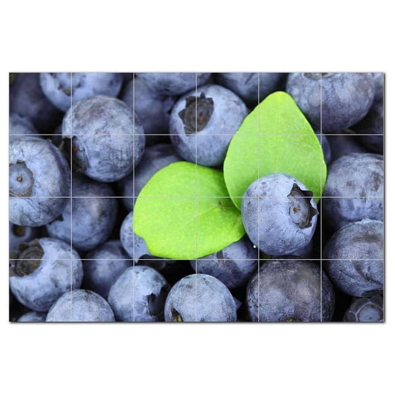 Fruit Food Ceramic Tile Mural Kitchen Backsplash Bathroom Shower, 400604-L64