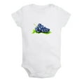 thumbnail image 1 of Fruit Grape Image Print Rompers For Babies, Newborn Baby Unisex Bodysuits, Infant Jumpsuits, Toddler 0-24 Months Kids One-Piece Oufits (White, 12-18 Months), 1 of 4