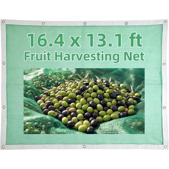 Fruit Harvesting Net 16.4 x 13.1 ft - Heavy Duty PET Olive & Walnut Collection Mesh Green Agricultural Catching Netting for Chestnuts Plums Hazelnuts Reusable Leaf Collector Garden Pool Cover