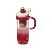 Fruit Infuser Water Bottle Leakproof Plastic Infusion Bottle With Straw for Gym, Camping, Travel, Outdoor