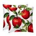 Fruit Inserts Set of 2 Bed Pillow Inserts with Unique Patterns