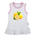 thumbnail image 1 of Fruit Lemon Pattern Dresses For Baby, Newborn Babies Skirts, Infant Princess Dress, 0-24M Kids Graphic Clothes (White Sleeveless Dresses, 6-12 Months), 1 of 4