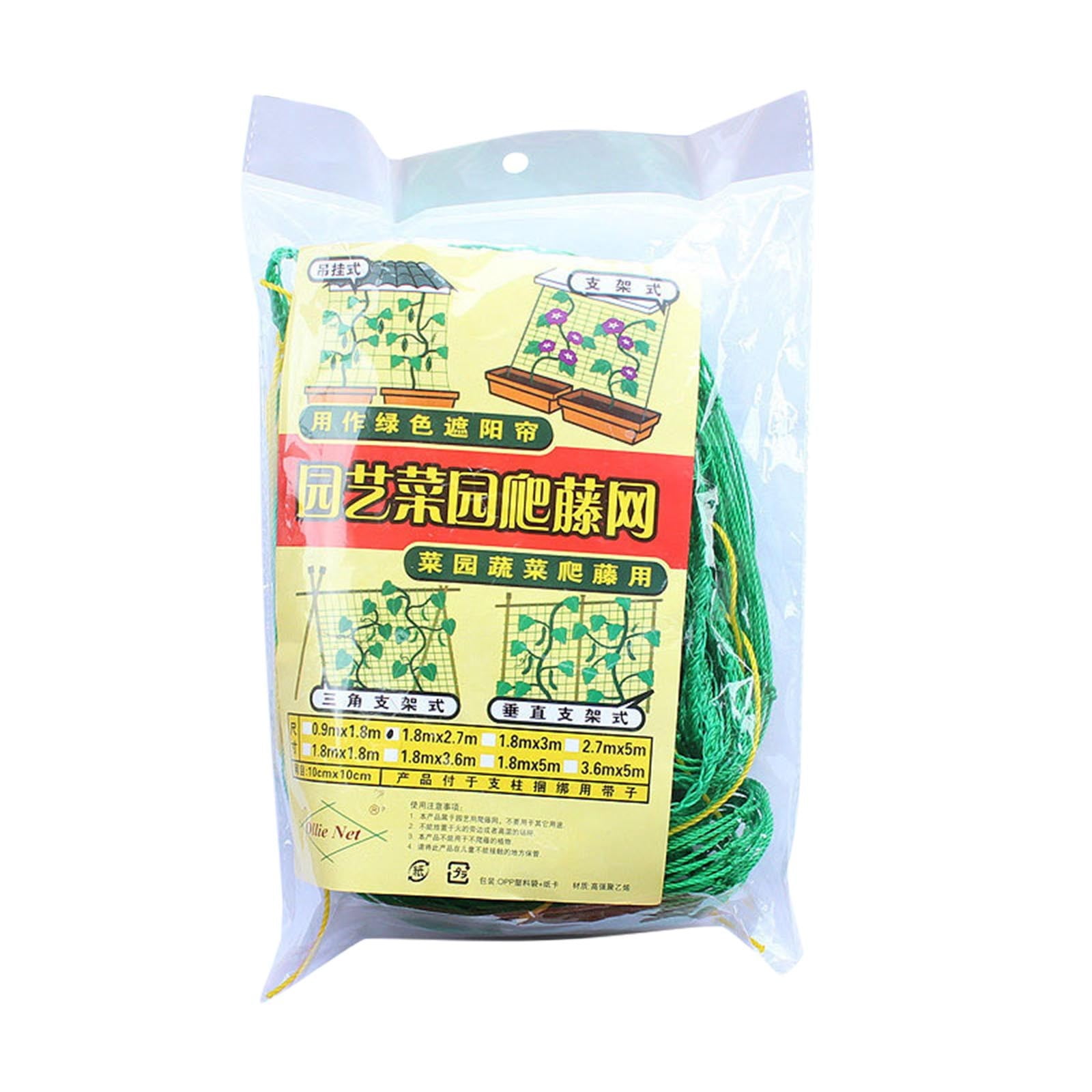 Fruit Morning Glory Vine Net Flower Climbing Vine Climbing Pergola