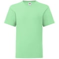 thumbnail image 1 of Fruit Of The Loom Boys/Girls Iconic T-Shirt, 1 of 4