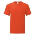 thumbnail image 1 of Fruit Of The Loom Mens Iconic T-Shirt (Pack of 5), 1 of 4
