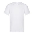 thumbnail image 1 of Fruit Of The Loom Mens Original Short Sleeve T-Shirt, 1 of 4