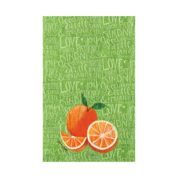 Fruit Orange Printed Flour Sack Kitchen Towel Dishtowel