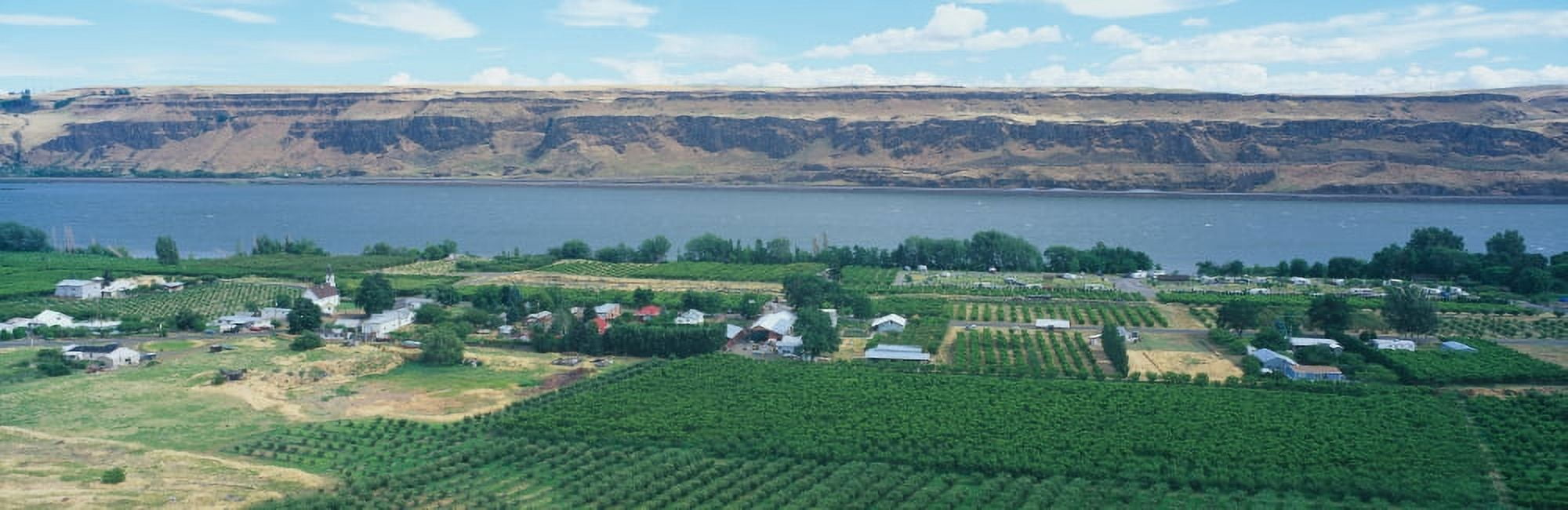 Fruit Orchards Columbia River Gorge Washington Canvas Art - Panoramic Images (27 x 9)