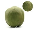 thumbnail image 1 of Fruit Ornament Artificial Coconuts Fake Coconuts Farmhouse Decorations Simulated Coconuts Artificial Fruit Props, 1 of 6