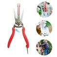 Fruit Pear Scissors For Trees Efficient Thinning & Pruning Tool