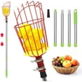 Fruit Picker, 5.5 Ft Fruit Picker Tool with Stainless Steel Connecting ...