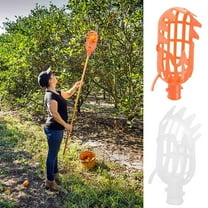 Fruit Picker under $5! Xqxayjr Fruit Picking Basket Garden Tool, Adjustable Fruit Harvester with Pole, Orchard Picking Bag for Apples Pears, Harvesting Basket for Home Garden