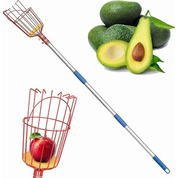 Fruit Picker, 8 ft Long Fruit Picker Pole with Basket Telescoping, Apple Fruit Tree Picker with Pole Extendable, Fruit Grabber & Cather with Stainless Steel Pole for Mango, Orange, Fig, Lemon