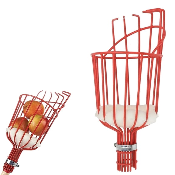 Fruit Picker Basket - Sturdy Tree Picker Tool with Adjustable Knob - Apple, Avocado, Peach, Pear, Lemon Grabber