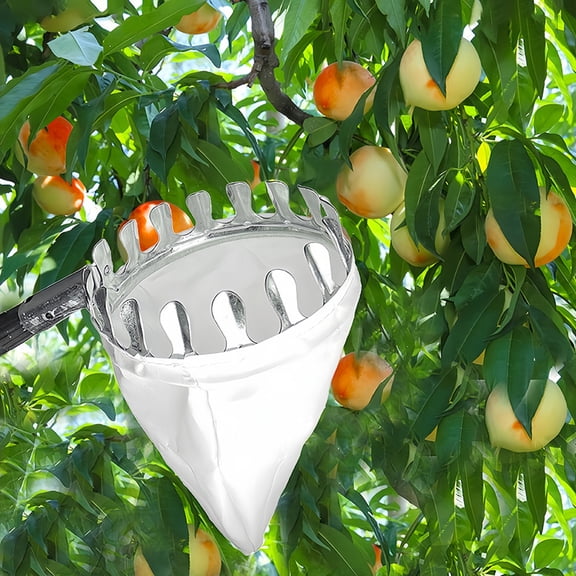Fruit Picker Head Basket Long Handle Not Included Fruit Picking Tool with Collection Bag Fruit Harvesting Tool for Pear Peach Lemon Tree