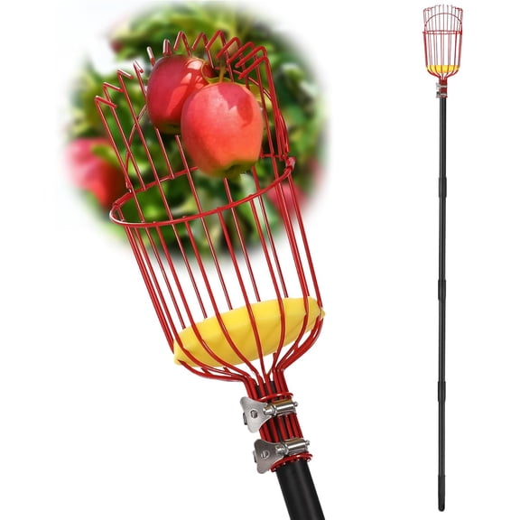 Fruit Picker Pole with Basket Long Handle, 12.5Ft Adjustable Fruit Picker Tool with Fruit Picker Basket, Apple Tree Picker Pole for Citrus Peach Pear Fig Avocado Mango, Fruit Grabber for Harvesting
