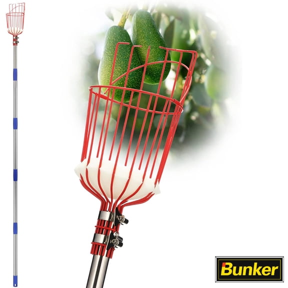 Fruit Picker Pole Tool with Basket, Adjustable 35-65 Inch Long Handle Fruit Picking Tool for Apple Orange Lemon Mango Pear Avocado Tree Harvesting, Lightweight Tree Fruit Picker