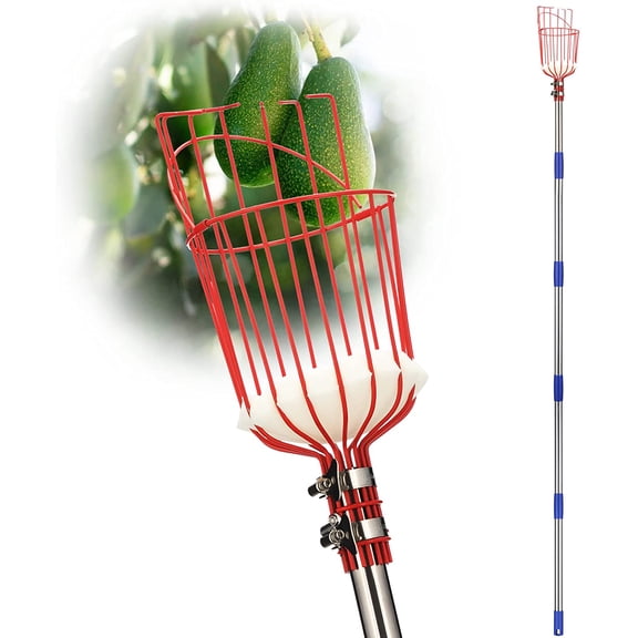 Fruit Picker Pole with Basket – Adjustable Long Handle Tool for Apple, Orange, Avocado, Acorn, Lemon, Pear, Mango Tree Picking